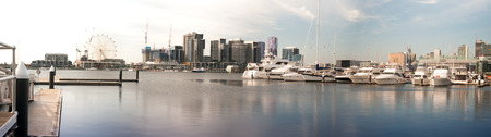 Shot of many yachts docked with Melbourne docklands skyline background