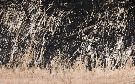 Piece of old black scratched wood - grungy pattern
の写真素材