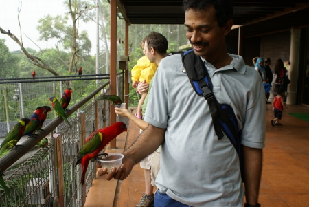 A visitor at Jurong Bird Park plays with one of the lories