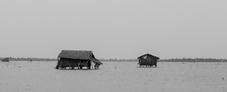 Shacks on the sea in Mekong Delta, southern Vietnam.の写真素材