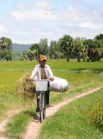 MEKONG DELTA, VIETNAM - JULY 25, 2014. Child labor at Asia countryside, a boy transports straw bag by bike from rice field, social problem at Asia poor rural, Vietnam.のeditorial素材