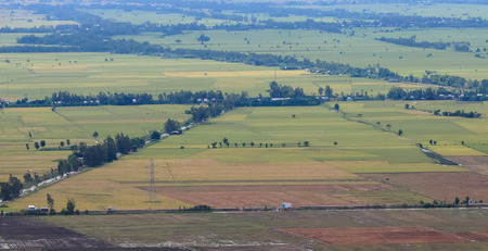Aerial view of paddy rice fields in Mekong Delta Zone, Southern Vietnam.