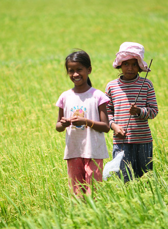 An Giang, Vietnam - Feb 11, 2015. Unidentified children playing on rice field in Mekong Delta, Southern Vietnam.のeditorial素材