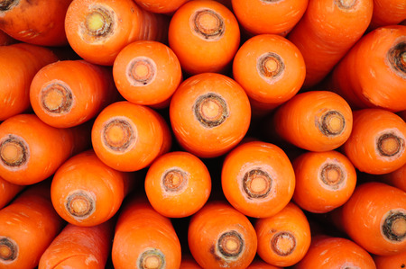 A lot of ripe and beautiful carrot closeupの写真素材