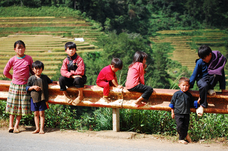 SAPA, VIETNAM - JUL 23, 2014. Ethnic Hmong children in Sapa, Vietnam. Hmong children often work on the field since childhood.のeditorial素材