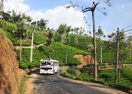 HIGHLANDS, SRI LANKA - FEB 23, 2015. A bus on beautiful mountain road through tea estates in Highlands, Sri Lanka.のeditorial素材