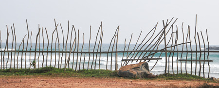 Tropical sandy beach with palm trees in Hikkaduwa, Sri Lanka.の写真素材