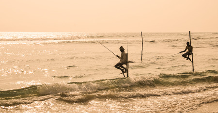Hikkaduwa Sri Lanka  Feb 1 2012. Stilt Fishermen of Sri Lanka. Stilt fishing is a method of fishing unique to the island country of Sri Lanka located off the coast of India.のeditorial素材