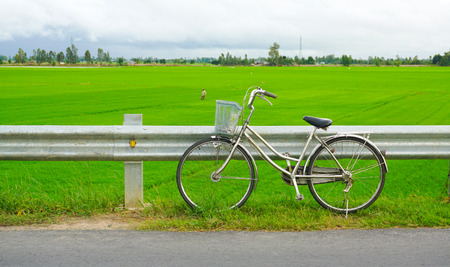 An Giang, Vietnam - Jun 22, 2015. Bicycle on the paddy rice field in Mekong Delta, southern Vietnam.のeditorial素材