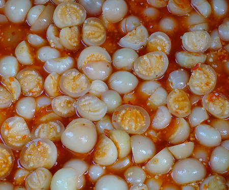 Eggplants with spice, a popular traditional food in northern Vietnam.の写真素材