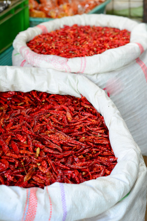Chilli for sale at traditional spice market in India. It's Asia's largest wholesale spice market.のeditorial素材