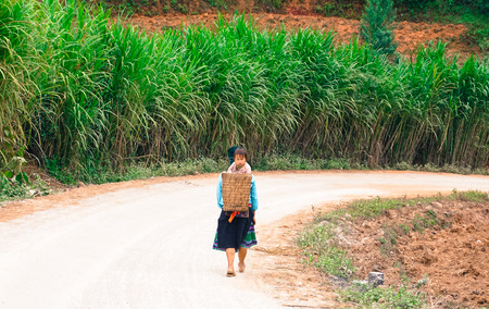 Women of Hmong walking on the local road in Yen Bai, Vietnam. They going rice field in transplant season.の写真素材