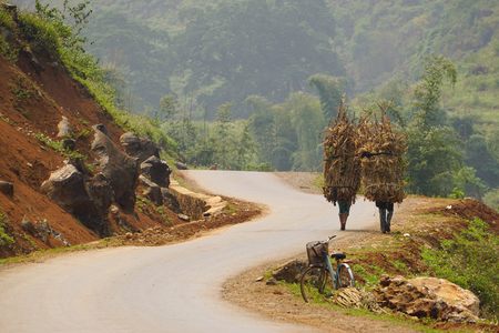 Unidentified ethnic minority women carry grass for cows in Ha giang, Vietnam. Ha giang is a northernmost province in Vietnam.の写真素材