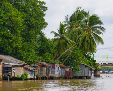 Houses of local people staying along river in Mekong delta, southern Vietnam.の写真素材