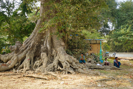 Mandalay, Myanmar - Feb 21, 2016. Burmese men sitting on rural road at Mingun village in Mandalay, Myanmar.のeditorial素材