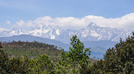 Forest with Black Dragon Snow Mountain in Dali, Yunnan, China.の写真素材