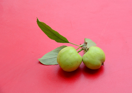 Apple fruits on red backgroundの写真素材