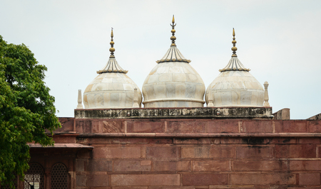 Details of Agra Fort, World Heritage site in Agra, India.のeditorial素材