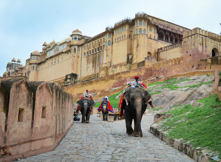 JAIPUR, INDIA - JUL 28, 2015. Unidentified mahouts and their elephants near the Amber Fort, magnificent fortified palace. This Maharajah residence became in 2013 Unesco world heritage site.のeditorial素材