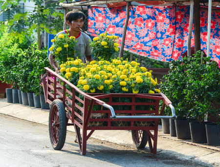 Ben Tre, Vietnam - Feb 1, 2015. A Vietnamese man  carrying flowers at the garden in Mekong Delta, Vietnam.のeditorial素材