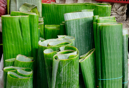 Banana leaves for saleの写真素材
