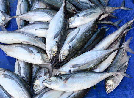Fresh fish for sale in Asian market