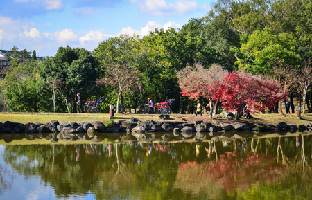 Nara, Japan - Nov 25, 2016. Tourists walking at the park with lake in Nara, Japan. Japan's first permanent capital, Nara is one of the country's most rewarding destinations.のeditorial素材