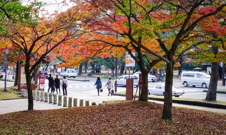 Nara, Japan - Nov 25, 2016. Many people walking on street in Nara, Japan. Nara is the capital city of Nara Prefecture located in the Kansai region of Japan.のeditorial素材