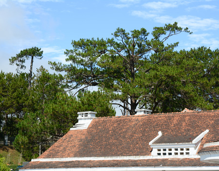 Old red tile roof top with a forest view. Architectural structure with landscape.の写真素材