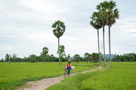 An Giang, Vietnam - Aug 7, 2016. A woman carrying grass on rural road in An Giang, Vietnam. The Mekong Delta is also Vietnam's most important economy region.のeditorial素材
