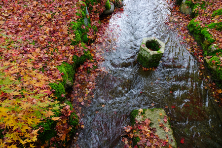 Autumn trees with small stream at city park in Kyoto, Japan.の写真素材