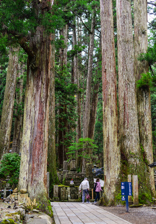 Wakayama, Japan - Nov 24, 2016. People walking at the Okunoin Cemetery with huge pine tree forest in Wakayama, Japan. Okunoin is one of the most sacred places in Japan.のeditorial素材