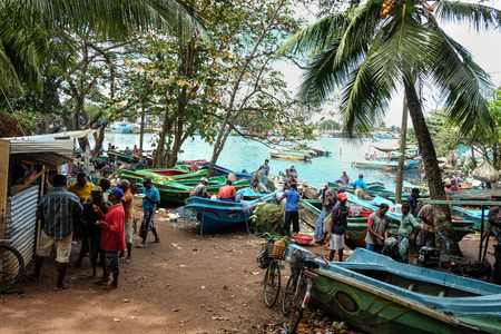 Colombo, Sri Lanka - Sep 5, 2015. Many people working at a village in Colombo countryside, Sri Lanka. Colombo is the commercial capital and largest city of Sri Lanka.のeditorial素材