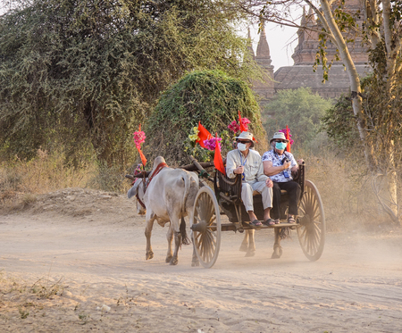 Bagan, Myanmar - Feb 19, 2016. An ox cart carrying tourists on dusty road in Bagan, Myanmar. Bagan in central Burma is one of the worlds greatest archeological sites.のeditorial素材