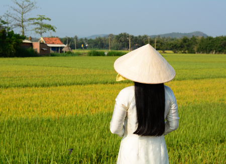 A Vietnamese woman in traditional dress (Ao Dai) standing and looking at the rice field.の写真素材