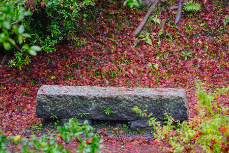 Autumn scenery in Kyoto, Japan. Stone bench with red leaves in the park.の写真素材