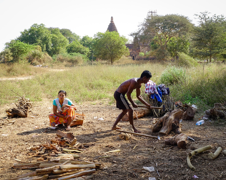 Bagan, Myanmar - Feb 3, 2017. People split firewood on the field in Bagan, Myanmar. Bagan is an ancient city and one of Asias most important archeological sites.のeditorial素材