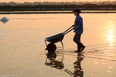 Khanh Hoa, Vietnam - Mar 21, 2016. People carrying salt at the sunny day in Ninh Hoa, Khanh Hoa, Vietnam. About 40 kilometers north of Nha Trang, there are immense salt fields.のeditorial素材