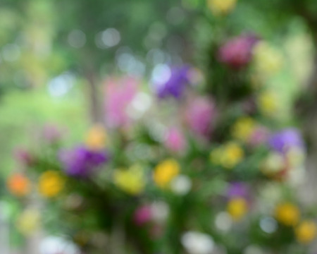 Flowers blooming at the park in spring time. Blurred with bokeh.の写真素材