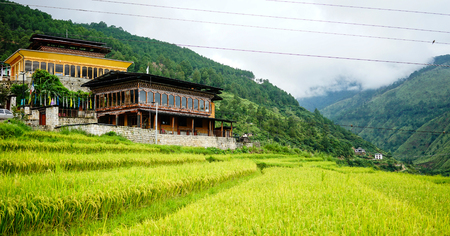 Traditional houses with rice fields in Thimphu, Bhutan. Agriculture provides the main livelihood for 55.4 percent of the population.の写真素材