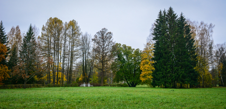 Autumn garden at Pushkin village in Saint Petersburg, Russia. Autumn in St Petersburg Russia is atmospheric and beautiful.の写真素材