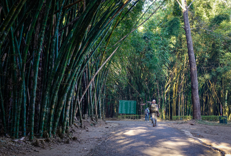 Pyin Oo Lwin, Myanmar - Feb 12, 2017. Tourists walking at the Botanic Garden in Pyin Oo Lwin, Myanmar. The park has been used to promote extensive ecotourism in Myanmar.のeditorial素材