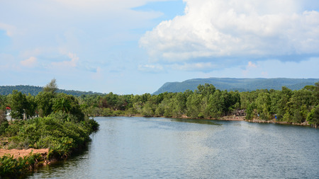 River scene with the forest in Mekong Delta, southern Vietnam.