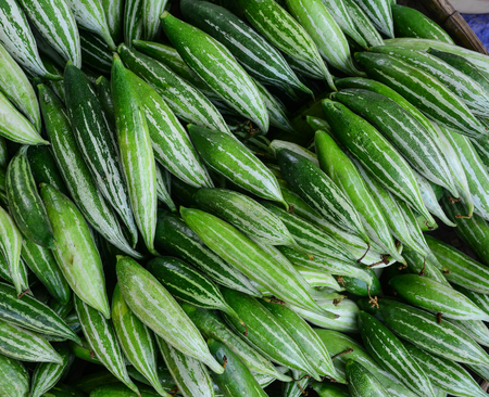 Fresh cucumbers for sale at the local market. Close up.の写真素材