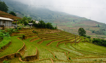 Sapa, Vietnam - May 30, 2016. View of Hmong village with the terraced rice field in Sapa, Vietnam. Sa Pa is a frontier township in Lao Cai Province in north-west Vietnam.のeditorial素材