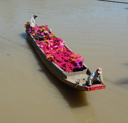 Mekong Delta, Vietnam - Jan 31, 2016. A wooden boat carrying Bougainvillea flowers in Mekong Delta, Vietnam. The Mekong Delta is by far Vietnam most productive region in agriculture.のeditorial素材