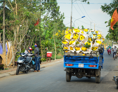 Mekong Delta, Vietnam - Jan 31, 2016. Carrying flowers on street in Mekong Delta, Vietnam. The Mekong Delta is by far Vietnam most productive region in agriculture.のeditorial素材