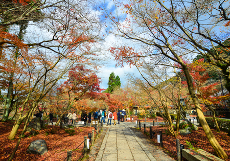 Kyoto, Japan - Nov 28, 2016. People visit the garden of Eikando temple in Kyoto, Japan. Eikando is famous for its fall foliage and highly frequented by locals and tourists alike.のeditorial素材