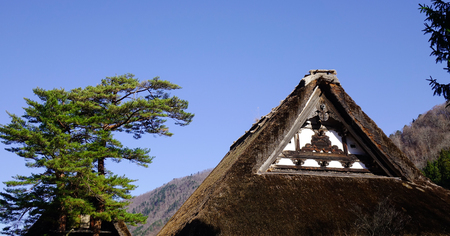 Top of a traditional house with pine trees at Historic Villages of Shirakawa-go in Gifu, Japan.のeditorial素材