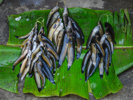 Fresh fish with banana leaves at the local market in Asia city.